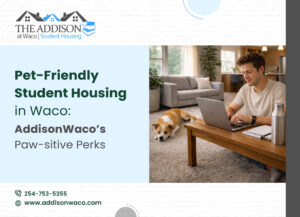PetFriendly Student Housing in Waco AddisonWacos Paw-sitive Perks